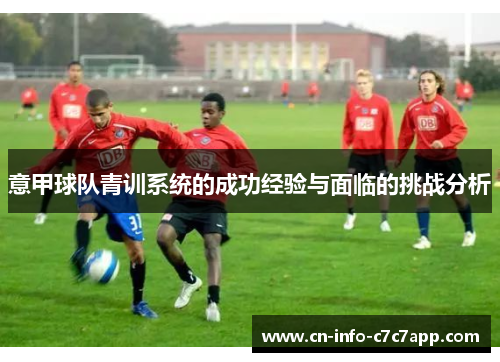 意甲球队青训系统的成功经验与面临的挑战分析