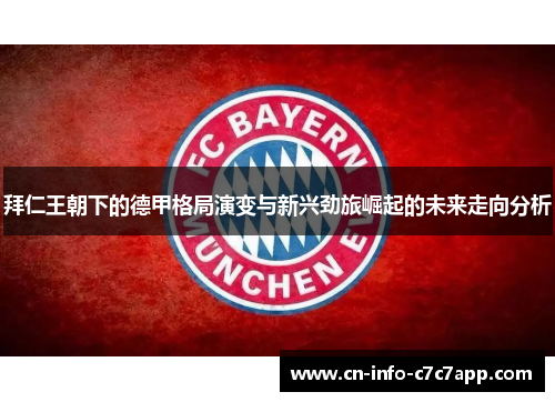 拜仁王朝下的德甲格局演变与新兴劲旅崛起的未来走向分析