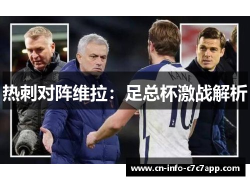 热刺对阵维拉:足总杯激战解析 热刺对阵维拉:足总杯激战解析