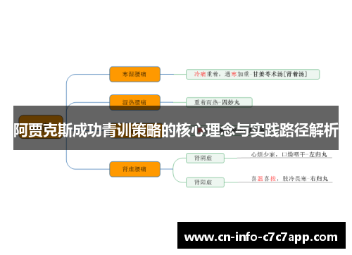 阿贾克斯成功青训策略的核心理念与实践路径解析