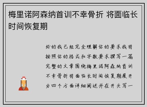 梅里诺阿森纳首训不幸骨折 将面临长时间恢复期